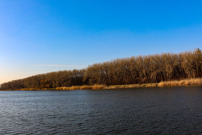 Scenic view of lake against clear blue sky
