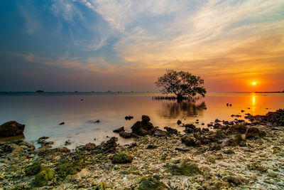 Scenic view of sea against sky during sunset