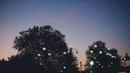 Low angle view of silhouette trees against sky at night