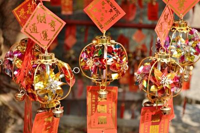 Close-up of plant against blurred background