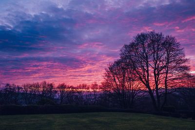 Silhouette bare trees on field against sky during sunset