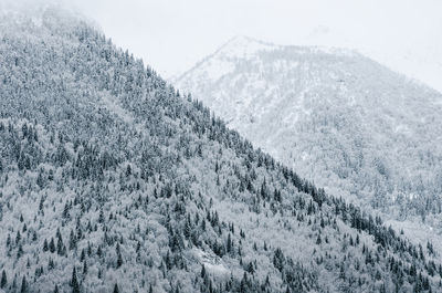 Scenic view of snow covered mountains