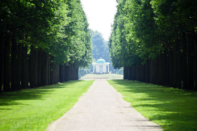 Empty footpath by trees in park