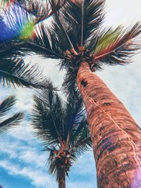 Low angle view of palm tree against sky