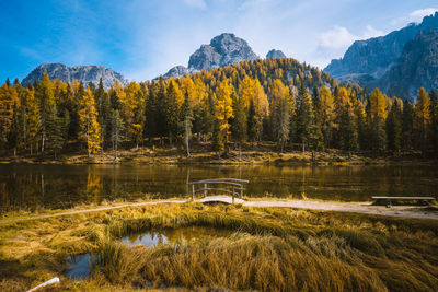 Scenic view of lake by trees against sky