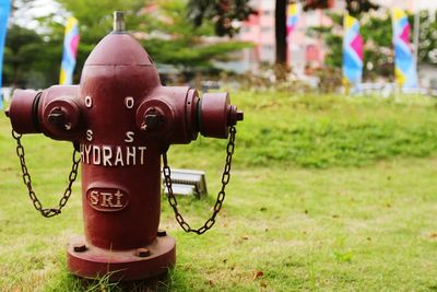 View of fire hydrant on grassy land