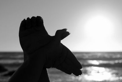 Cropped image of silhouette hands making bird sign against sky