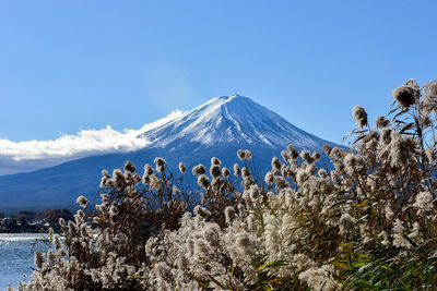 Scenic view of snowcapped mountains against clear blue sky