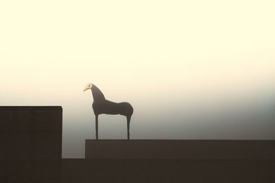 Silhouette horse