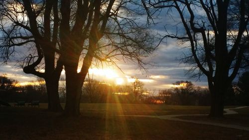 Trees by road against sky during sunset