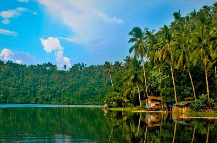 tree, water, reflection, tranquility, sky, tranquil scene, scenics, lake, beauty in nature, growth, nature, waterfront, green color, idyllic, cloud - sky, cloud, river, day, mountain, outdoors