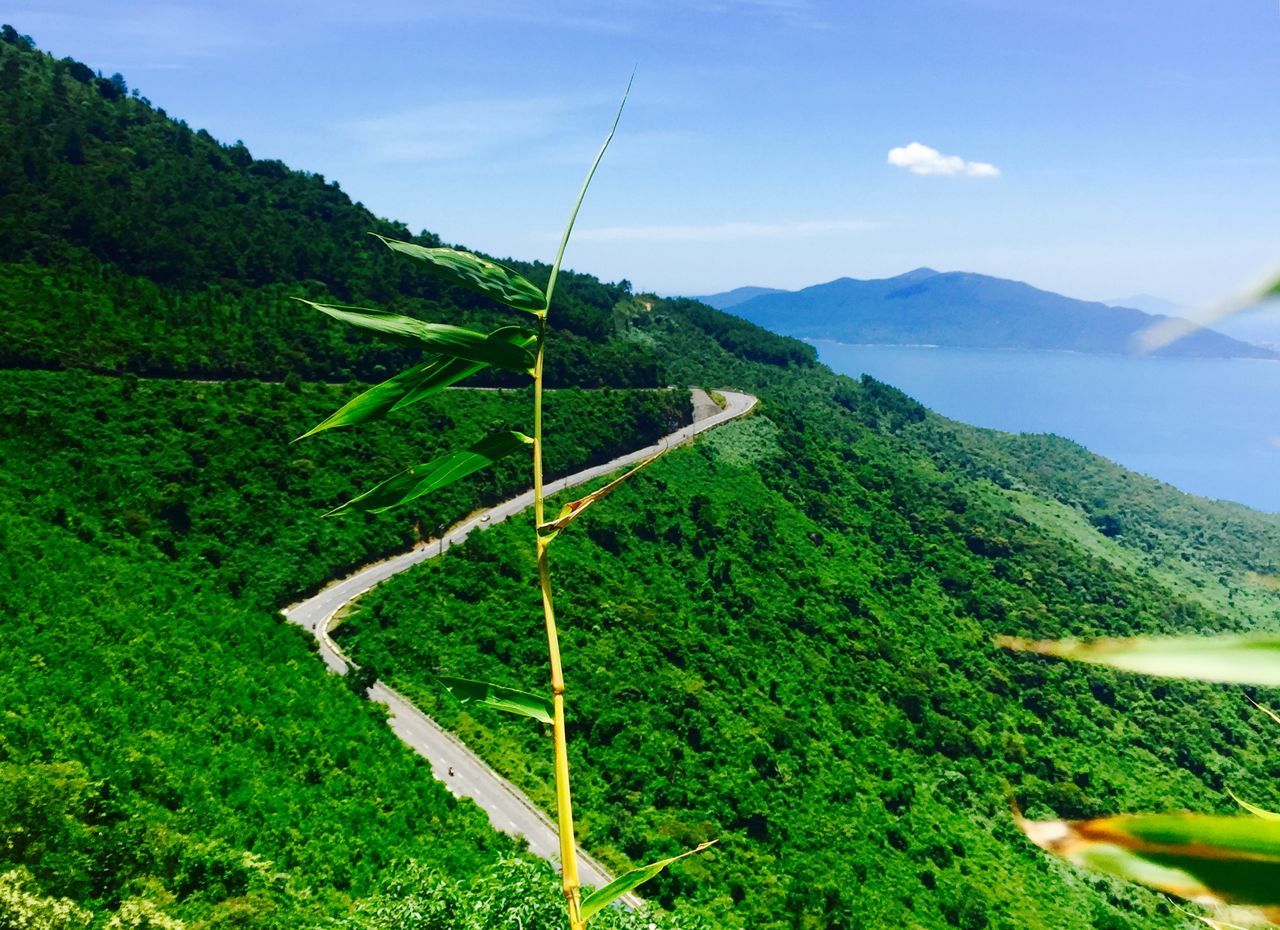 mountain, green color, landscape, tranquil scene, mountain range, tranquility, scenics, sky, grass, beauty in nature, nature, non-urban scene, hill, valley, green, remote, plant, countryside, idyllic, growth