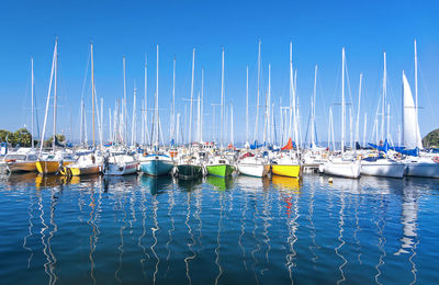 Sailboats moored in harbor