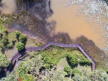 High angle view of trees on land