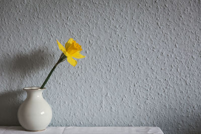 Close-up of yellow flowers on table against wall