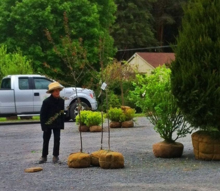 Young Amish boy inspecting his purcheses