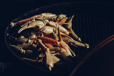 High angle view of crabs on barbecue grill in darkroom