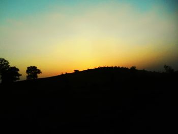 Silhouette of trees at sunset