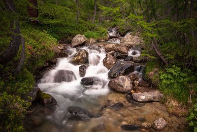 Stream flowing through rocks in forest