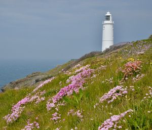 View of flowering plants by lighthouse against sky