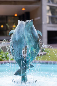 Close-up of water splashing in swimming pool