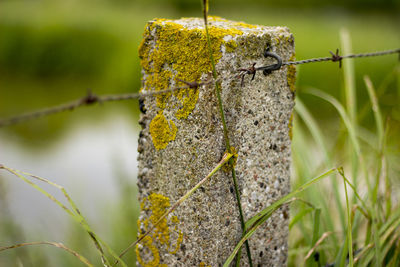 Detail shot of pole against blurred background