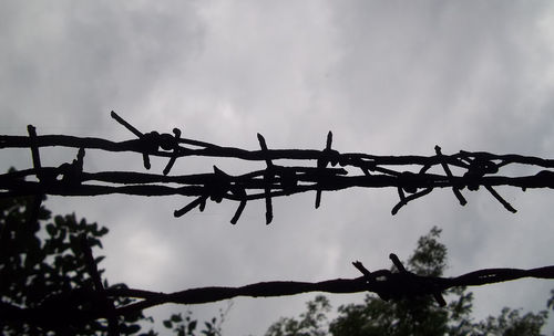 Low angle view of silhouette barbed wire against sky