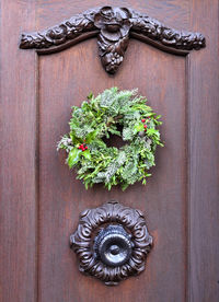 Close-up of flower plant on door