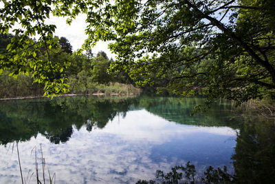 Scenic view of lake in forest against sky