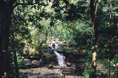 Waterfall in forest