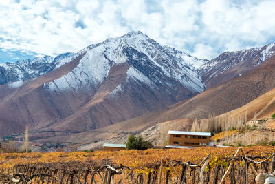 Vineyard by andes mountains against cloudy sky