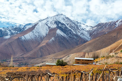 Vineyards by mountains against cloudy sky