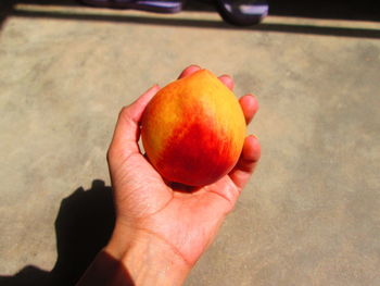 Close-up of hand holding apple