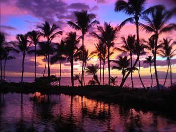 Silhouette palm trees reflecting on swimming pool by sea at sunset