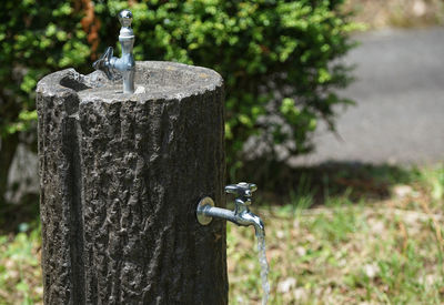 Faucet at a drinking fountain in the park on a sunny day