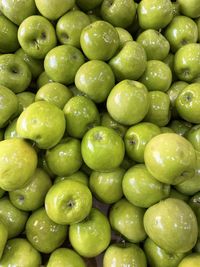 Green fresh , brilliant and clean apples