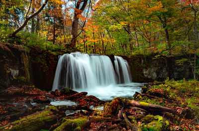 Waterfall in forest during autumn