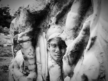 Close-up of statue against tree trunk