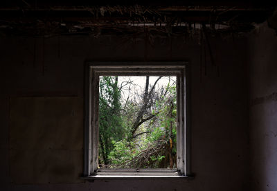 Close-up of window