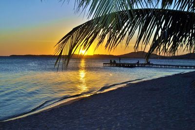 Scenic view of sea at sunset