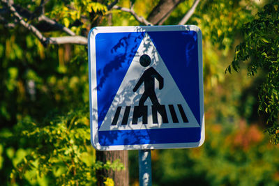 Close-up of road sign against trees