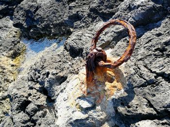 High angle view of rusty chain on rock