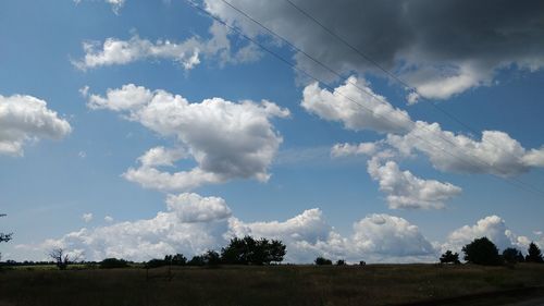 Low angle view of trees on land against sky