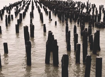 Wooden posts in the sea