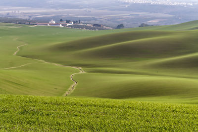 Scenic view of agricultural field against sky