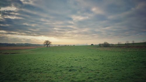 Scenic view of agricultural landscape against dramatic sky