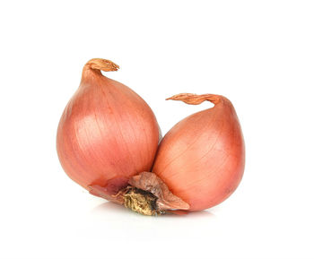 Close-up of pumpkins against white background