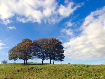 Tree on grassy field against cloudy sky