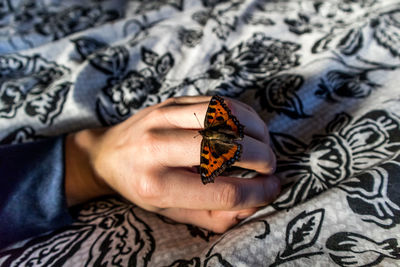 Close-up of hand holding butterfly on bed