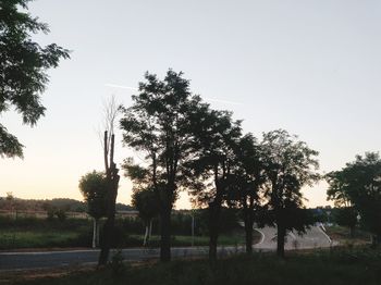 Trees on landscape against clear sky